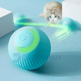 DW® Purrfect Chase Ball