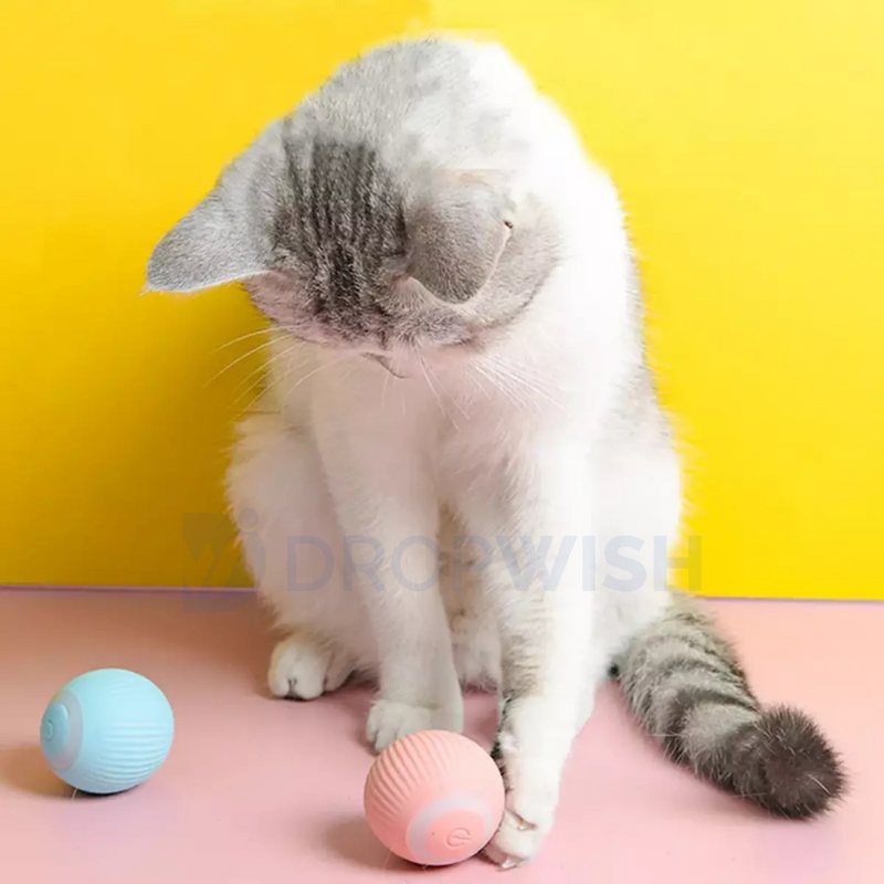 DW® Purrfect Chase Ball