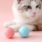 DW® Purrfect Chase Ball