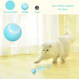 DW® Purrfect Chase Ball