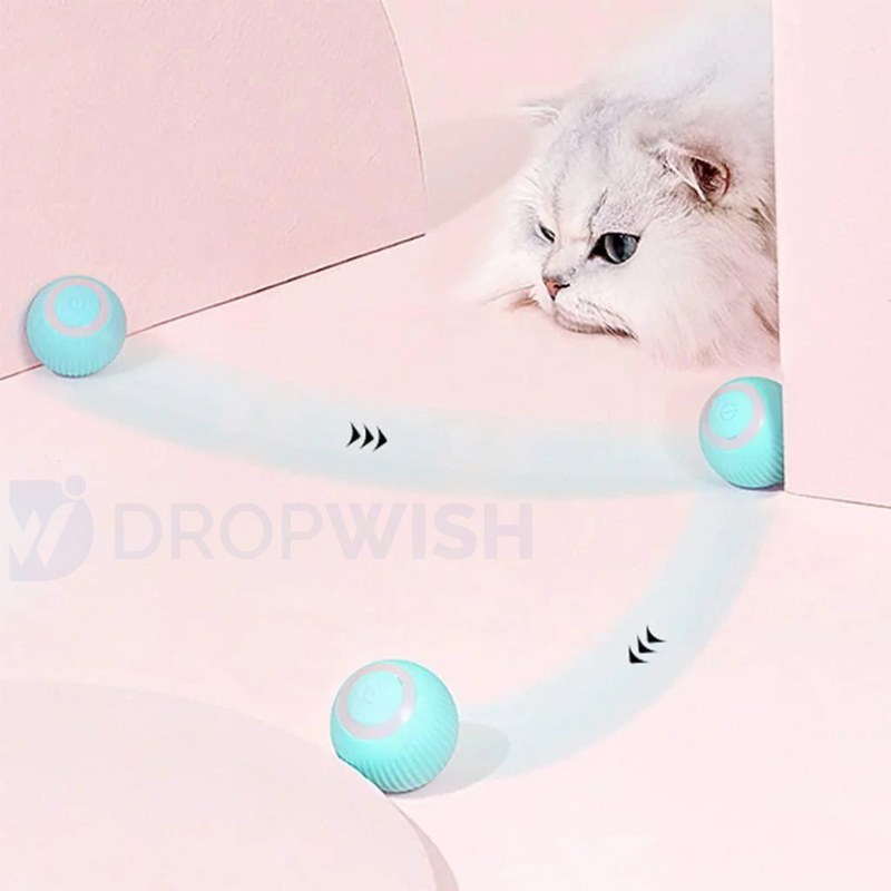 DW® Purrfect Chase Ball