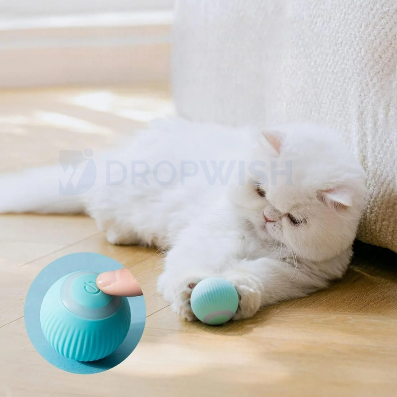 DW® Purrfect Chase Ball